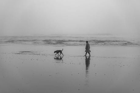 Person and a dog walking on a beach