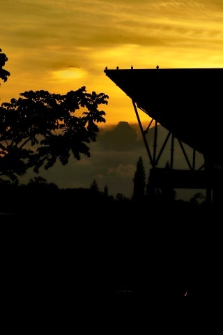 Landscape in silhouette with tree branches on the left and a building structure on the right. Sky is yellow.