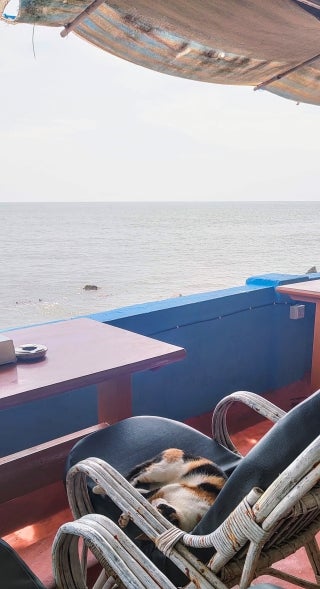 Ocean in the background, seen from inside a boat or balcony structure. On the foreground a sleeping cat can be seen on a chair.