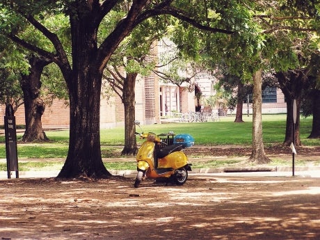 Yellow scooter in the middle of the image, surrounded by trees. Brick building in the background.