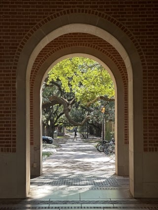 Trees a sidewalk viewed through a campus archway.