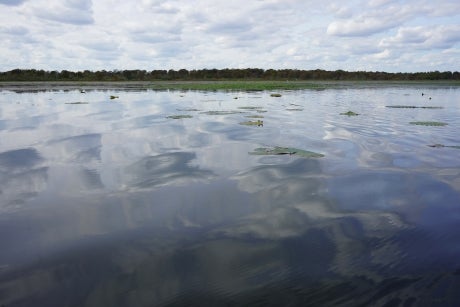 A body of water with some small waves on the surface. Cloudy sky reflected on the water. Tree line and cloudy sky visible in the background.