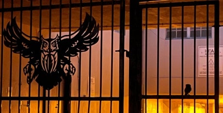 A metal fence with a Rice athletic owl seen behind the bars.