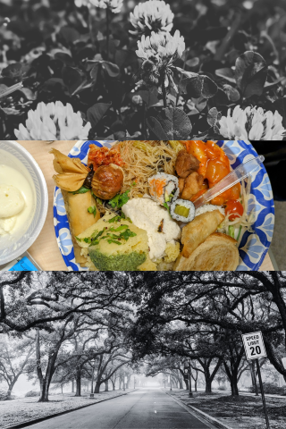 Collage of three photos, from top to bottom a black and white closeup of a flower, a colorful plate of food, and a black and white picture of an empty street lined by trees.