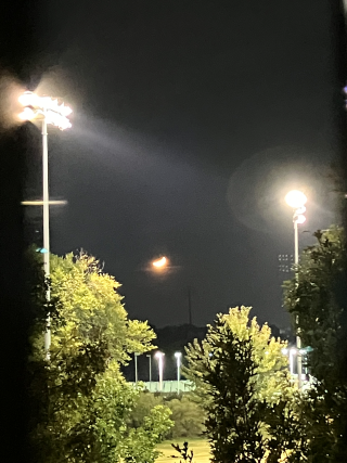 Trees in the foreground, with bright stadium lights behind them. Sky is dark, with a crescent moon.