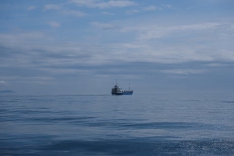 Blue water and blue sky, with a ship in the middle of the image.