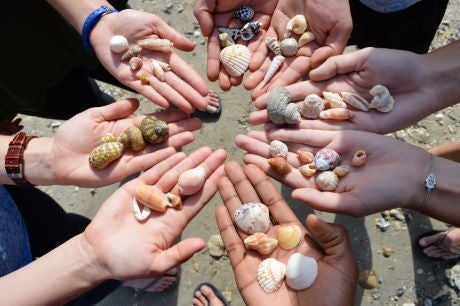 Hands in a circle holding seashells