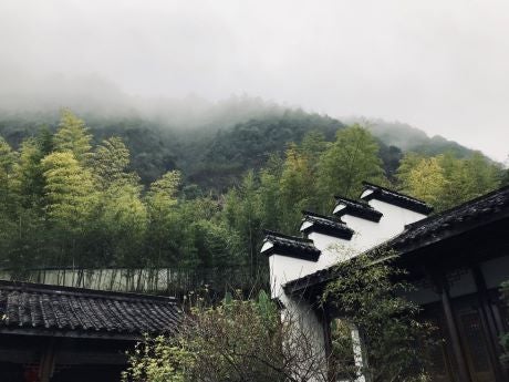 Part of a building in front of a forest in fog