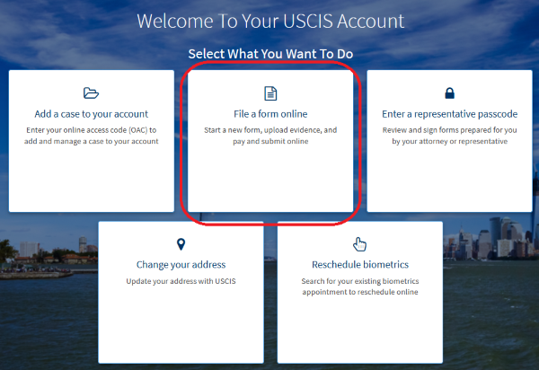 Screenshot from USCIS online account. Select what you want to do. File a form online option is circled.